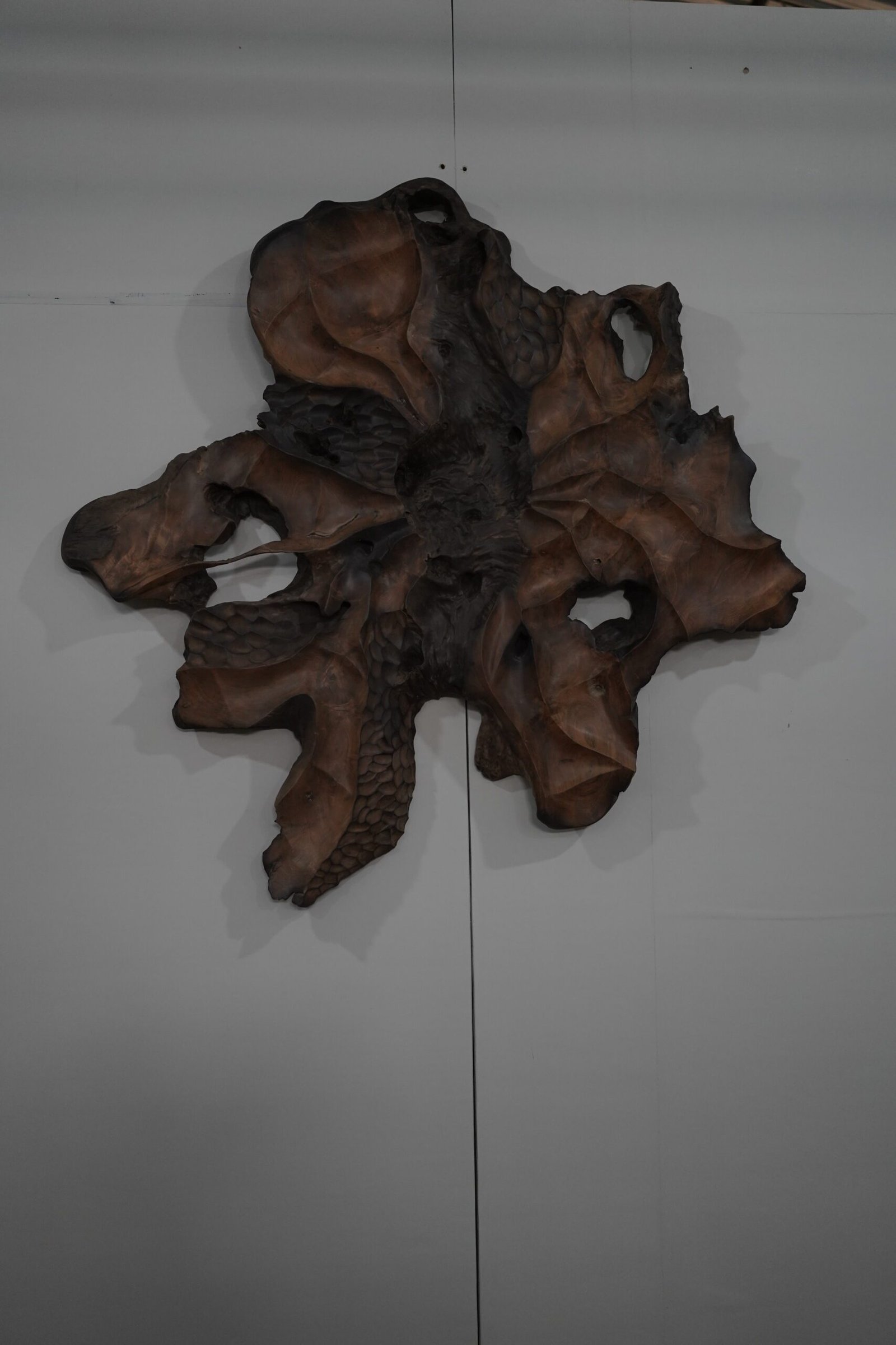 DSC02172